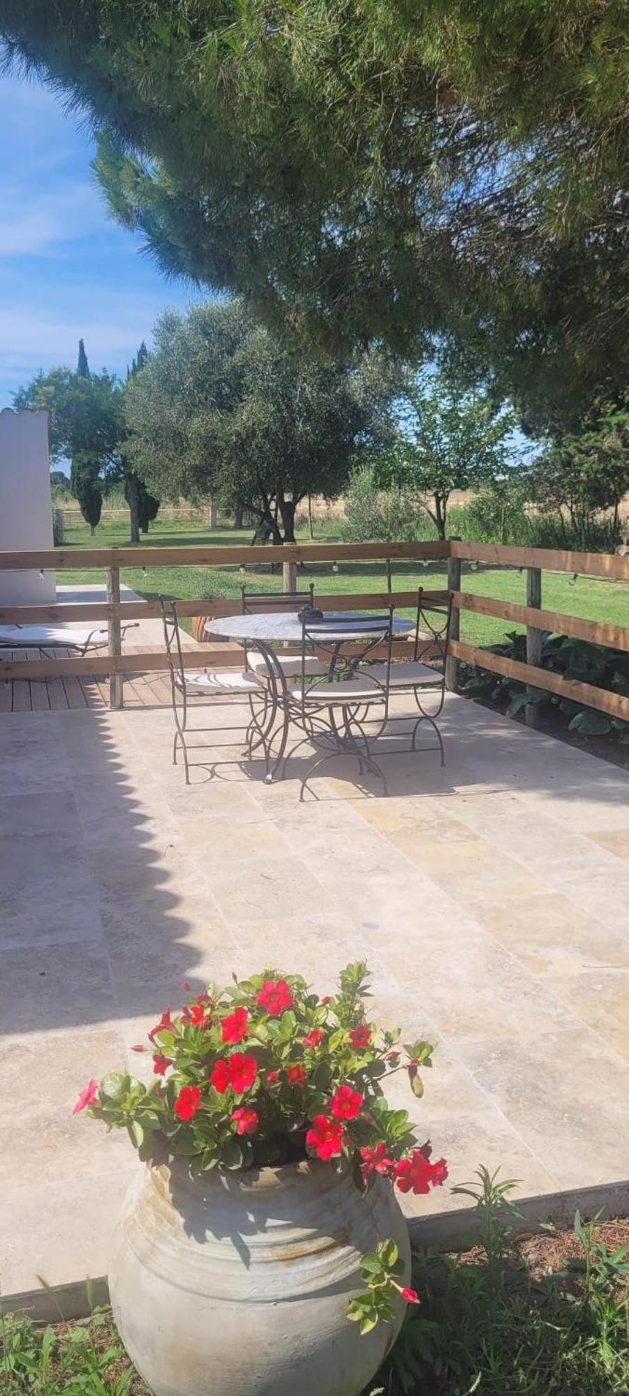 آرْلْ Mas Sicard Chambre D'Hotes En Camargue المظهر الخارجي الصورة